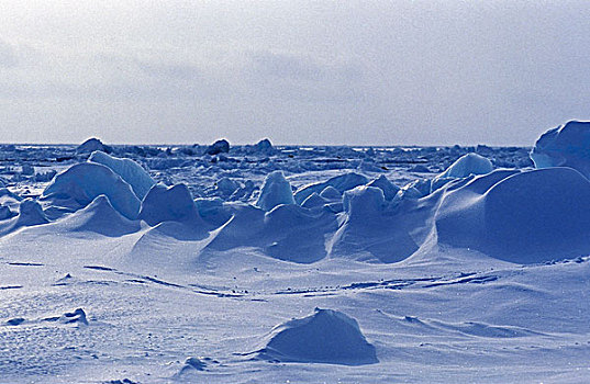 洛朗,湾,遮盖,冰,雪,魁北克,加拿大