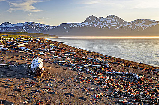 北美,美国,阿拉斯加,卡特麦国家公园,问好,山景,海滩