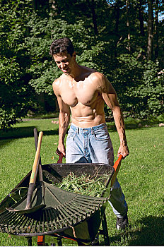 男人,园艺工作