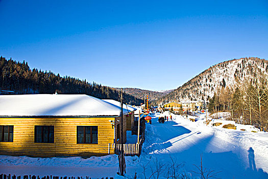 雪乡,双峰林场,村庄,风景,白天,黑龙江,牡丹江