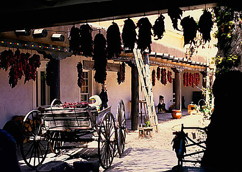 圣达菲,新墨西哥,小巷,悬挂,辣椒