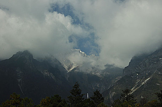 天鹅大青山