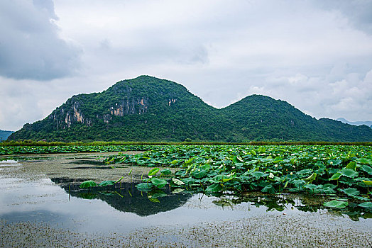 云南省文山州丘北县普者黑景区