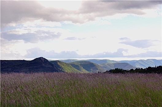 风景