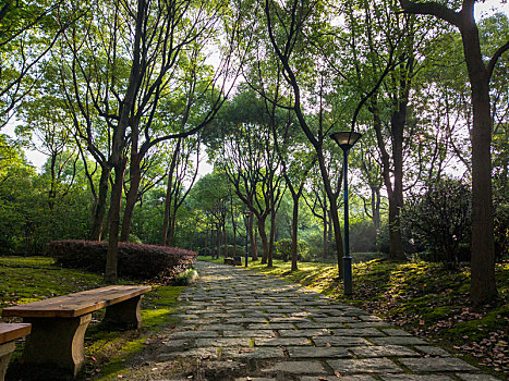 江南大学校园景观