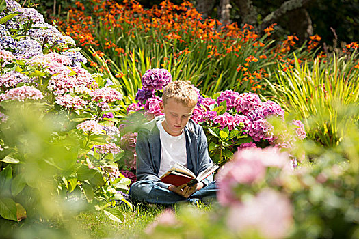 男孩,读,花园