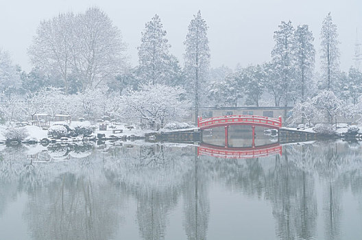 武汉冬日雪景风光