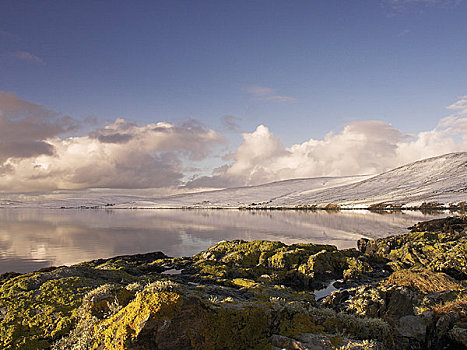 苏格兰,设得兰群岛,斜坡,雪,白天