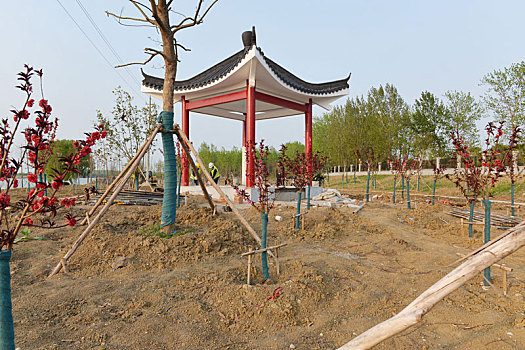 江苏淮安,生态修复工程,成市民休闲景观点