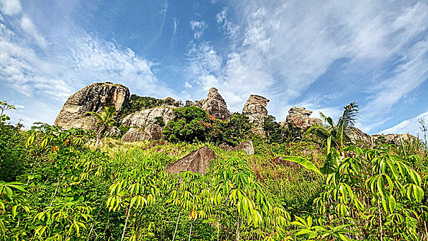 风景,石头,树,棕榈树,前景,斐济