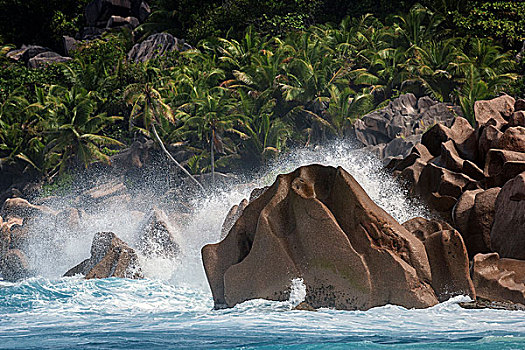 海浪,涡流,海洋,花冈岩,石头,棕榈树,后面,拉迪格岛,印度洋,塞舌尔,非洲