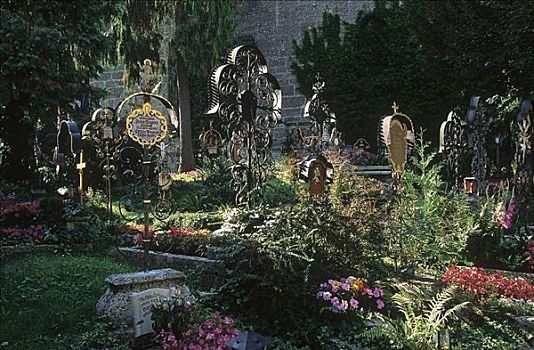 墓碑,墓地,树,花,萨尔茨堡,奥地利,欧洲