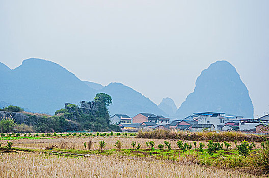 田园秋色