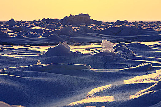 浮冰,日出