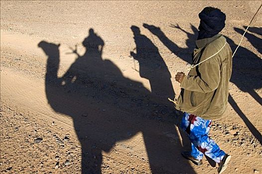 影子,玩,柏柏尔人,单峰骆驼,驼队,利比亚