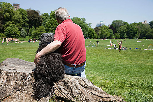 一个,男人,搂抱,狗,后视图,展望,公园,布鲁克林,纽约,美国