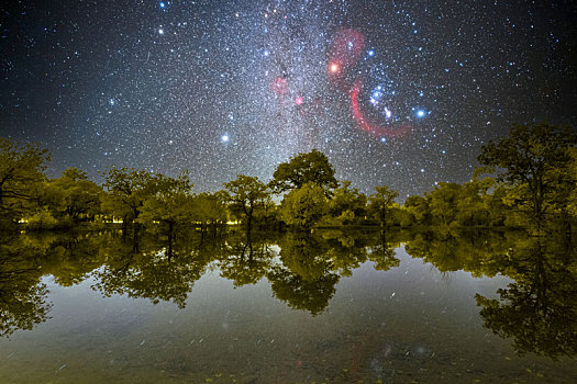 甘肃酒泉金塔胡杨林星空银河