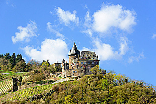 城堡,巴哈拉赫,莱茵河中游,山谷,莱茵兰普法尔茨州,德国,欧洲