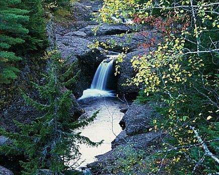 戈登,瀑布,靠近,新布兰斯维克,加拿大