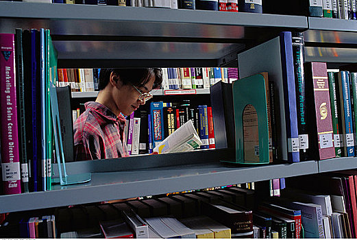男青年,读,书本,图书馆,新加坡