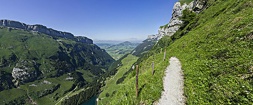 徒步旅行,山脉,瑞士,欧洲