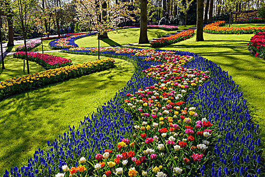 彩色,形状,花坛,库肯霍夫花园,春天,荷兰南部,荷兰