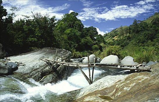 桥,国家公园,挨着,哥斯达黎加,中美洲