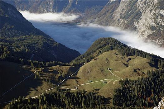 国家公园,遮盖,地面,薄雾,风景,最佳位置,巴伐利亚,德国