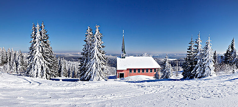 冬季风景,教堂,黑森林,巴登符腾堡,德国