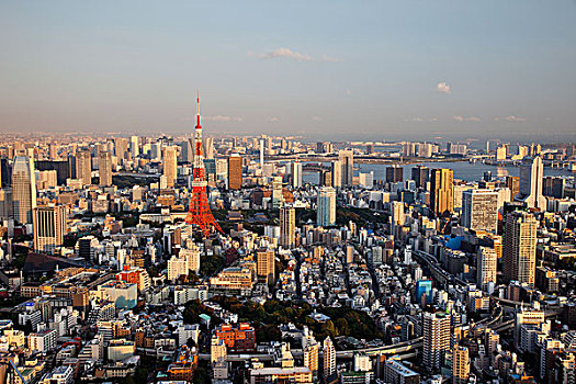 日本,东京,东京塔,城市天际线,景色,塔