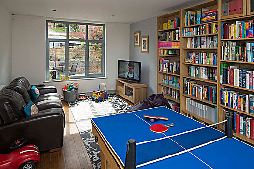 娱乐室,展示,乒乓球,桌子,书架,玩具,家
