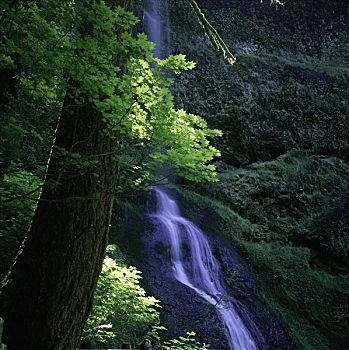 冬天,瀑布,夏天,景色,银色瀑布州立公园