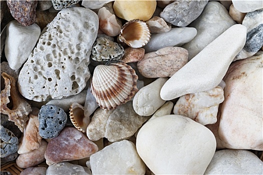 海洋,鹅卵石,壳