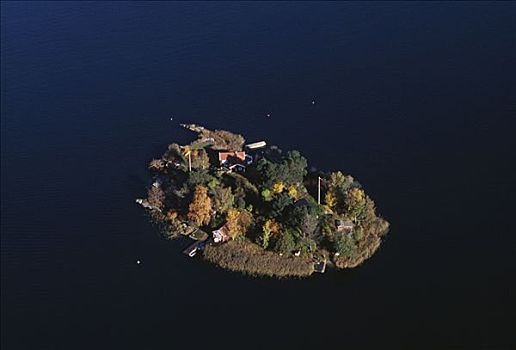 房子,树,岛屿,俯视图