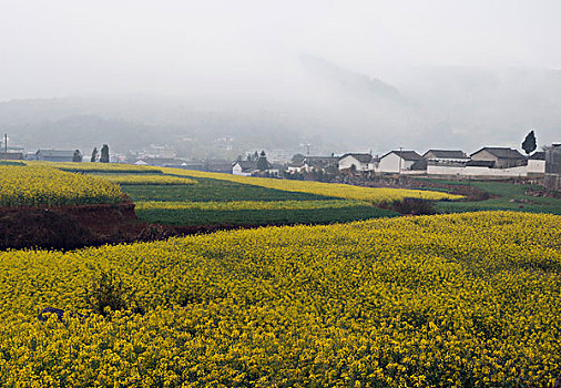 云南罗平县,金鸡岭鸟瞰村庄,徐学哲摄影,尼康,年,月