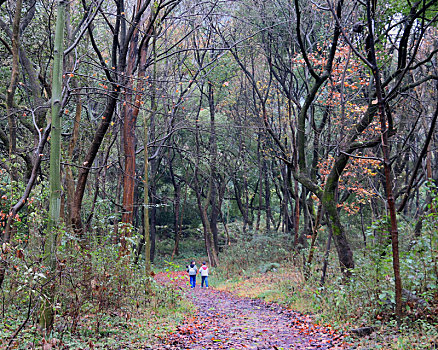 广西全州县油榨园村,大山脚下小山村,青山相伴绿水甜