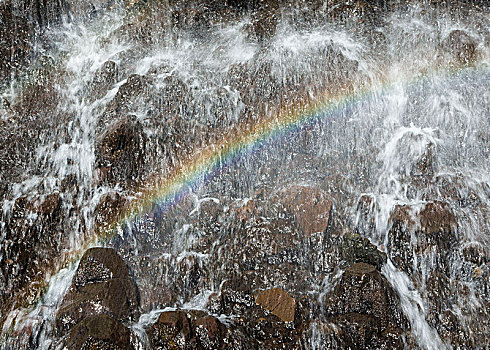 冰岛,瀑布,特写,彩虹,溅,水,红色,石头