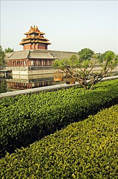 墙壁,塔,故宫,北京,中国