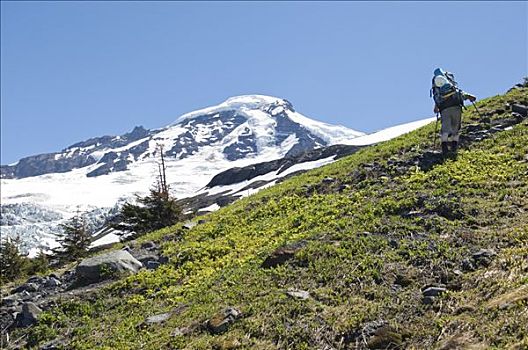 远足,贝克山,华盛顿,美国