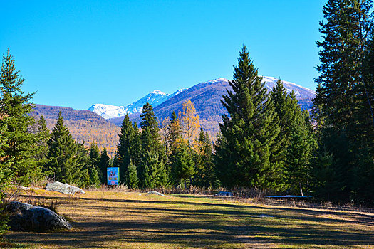 喀纳斯雪山