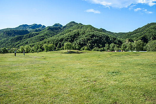 玉渡山,高山草甸,草地