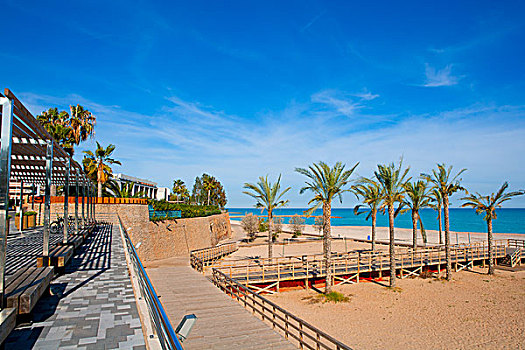 海滩,地中海,西班牙