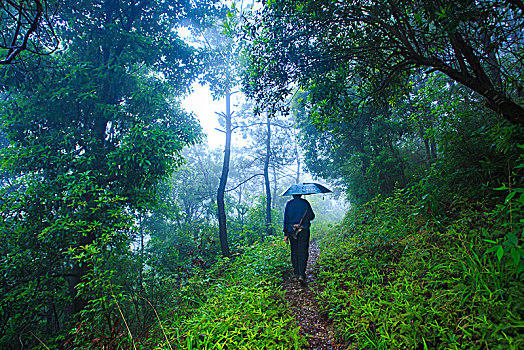 山路,登山,驴友,爬山