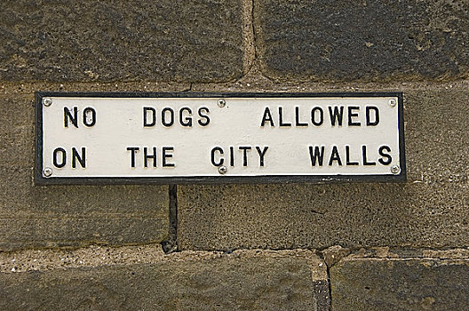 英格兰,北约克郡,狗,城市,标识,历史名城,墙壁