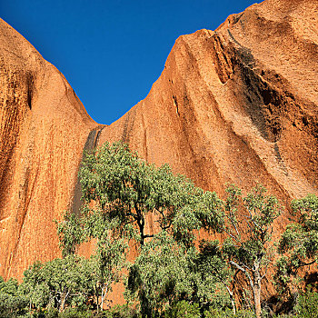 澳大利亚,内陆地区,峡谷,树,靠近,山,自然