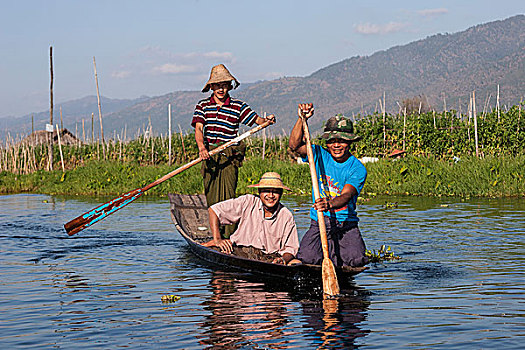 男人,划船,木船,茵莱湖,漂浮,花园,后面,掸邦,缅甸,亚洲
