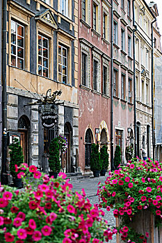 街景,老,建筑,餐馆,标识,老城,华沙,波兰