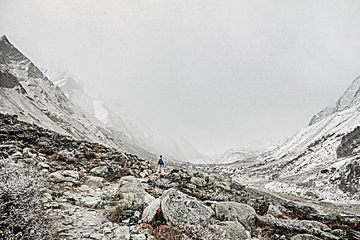 男人,站立,岩石上,山谷,印度,喜马拉雅山
