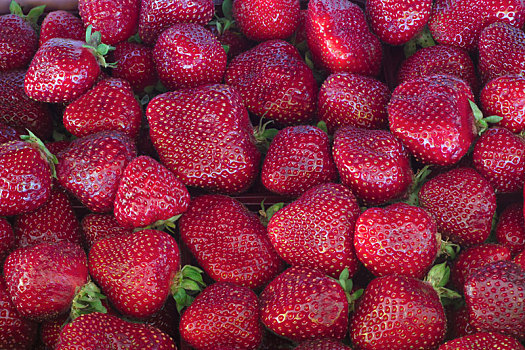 草莓,浆果,水果,背景,有机,营养,美味,全画幅,丰收