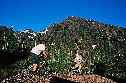 攀升,山地车,男孩,温哥华岛,不列颠哥伦比亚省,加拿大